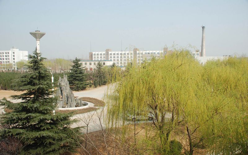 school-pic