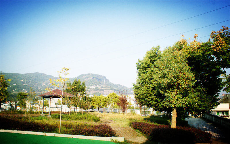 school-pic