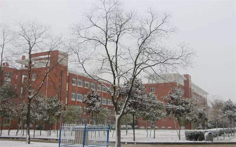 school-pic