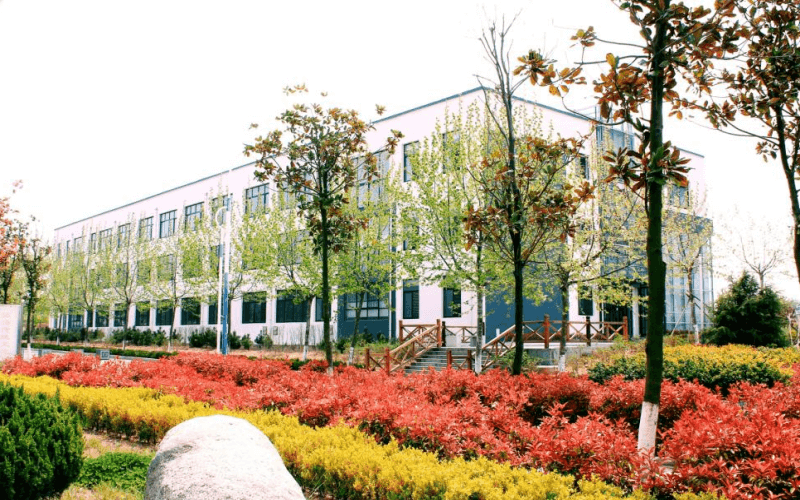 school-pic
